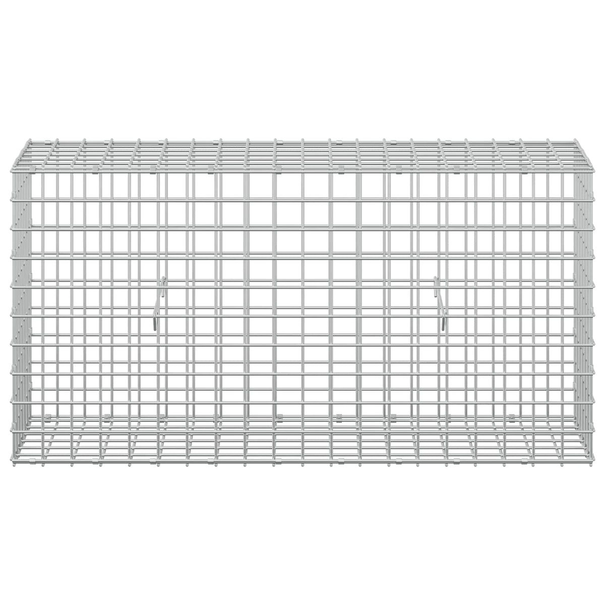 vidaXL Gabion z drutu 3,5 mm i siatką 5x5 cm 100x30x50 cm