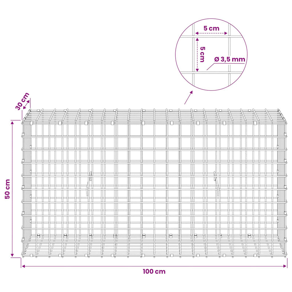 vidaXL Gabion z drutu 3,5 mm i siatką 5x5 cm 100x30x50 cm