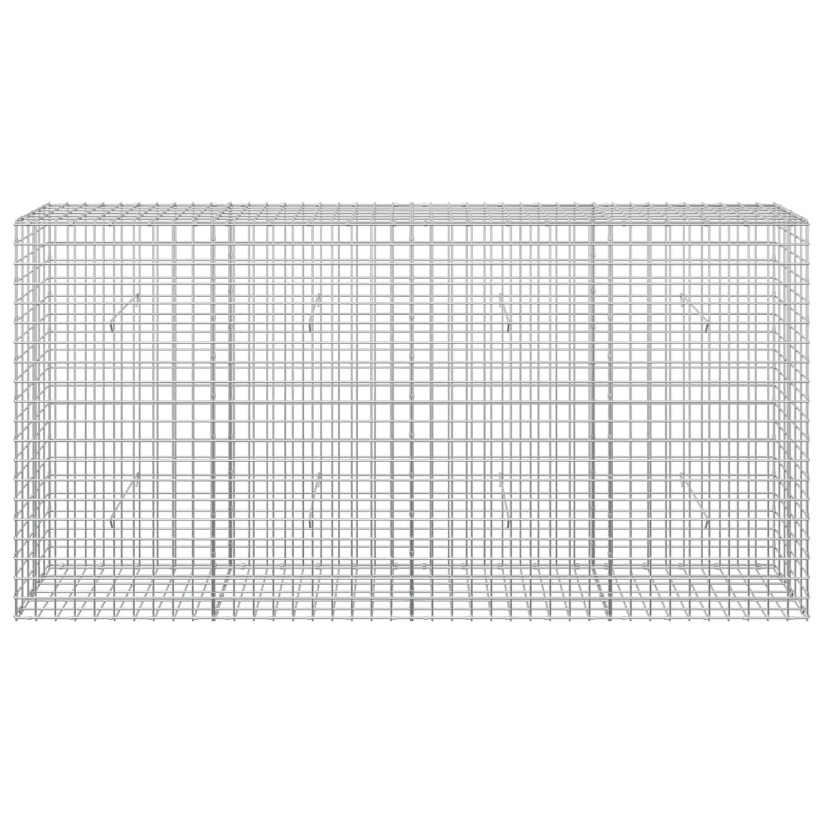 vidaXL Gabion z drutu 3,5 mm i siatką 5x5 cm 200x30x100 cm