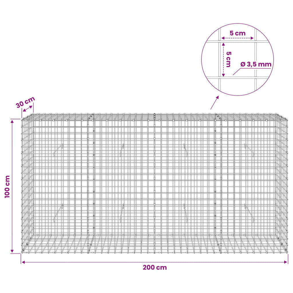 vidaXL Gabion z drutu 3,5 mm i siatką 5x5 cm 200x30x100 cm