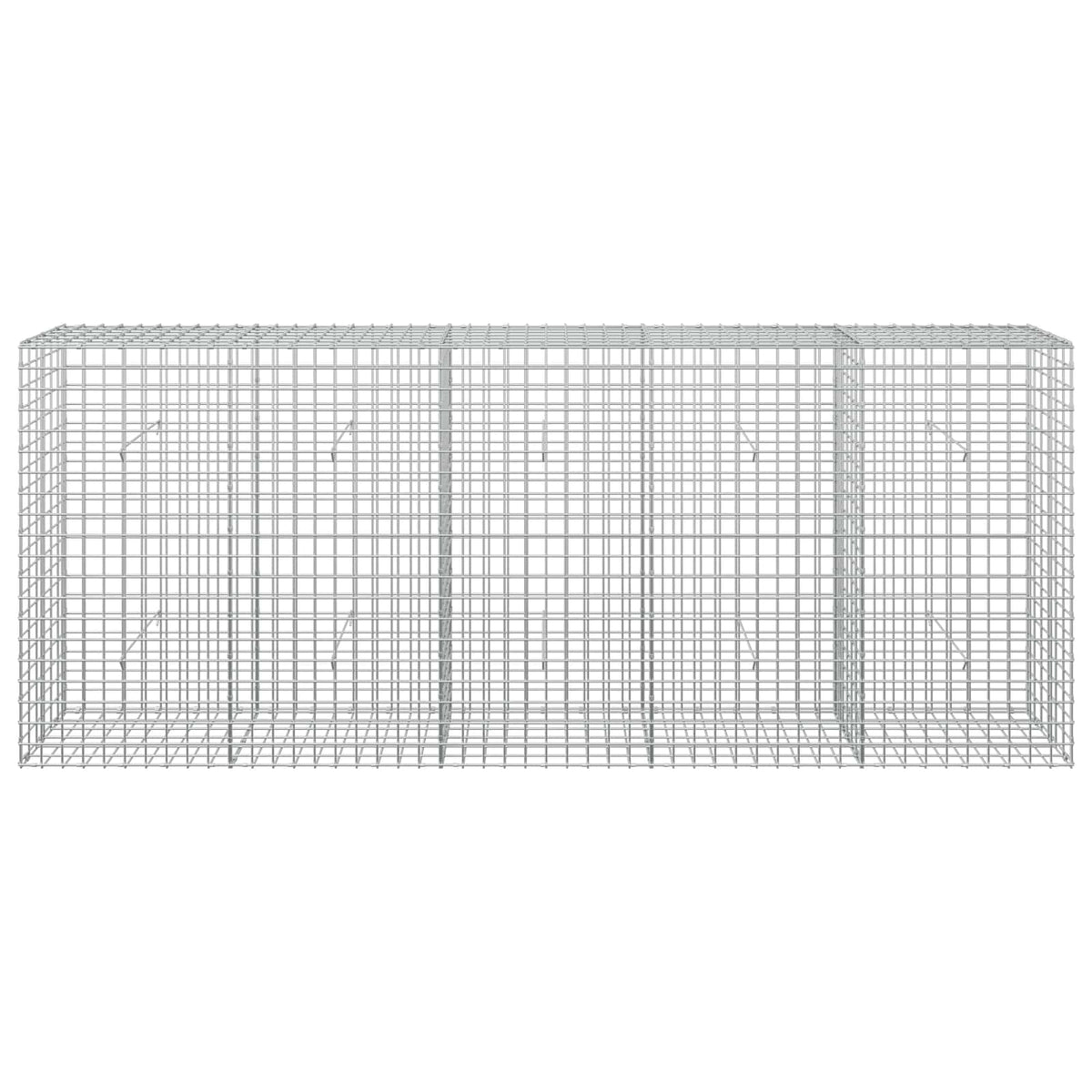 vidaXL Gabion z drutu 3,5 mm i siatką 5x5 cm 250x30x100 cm