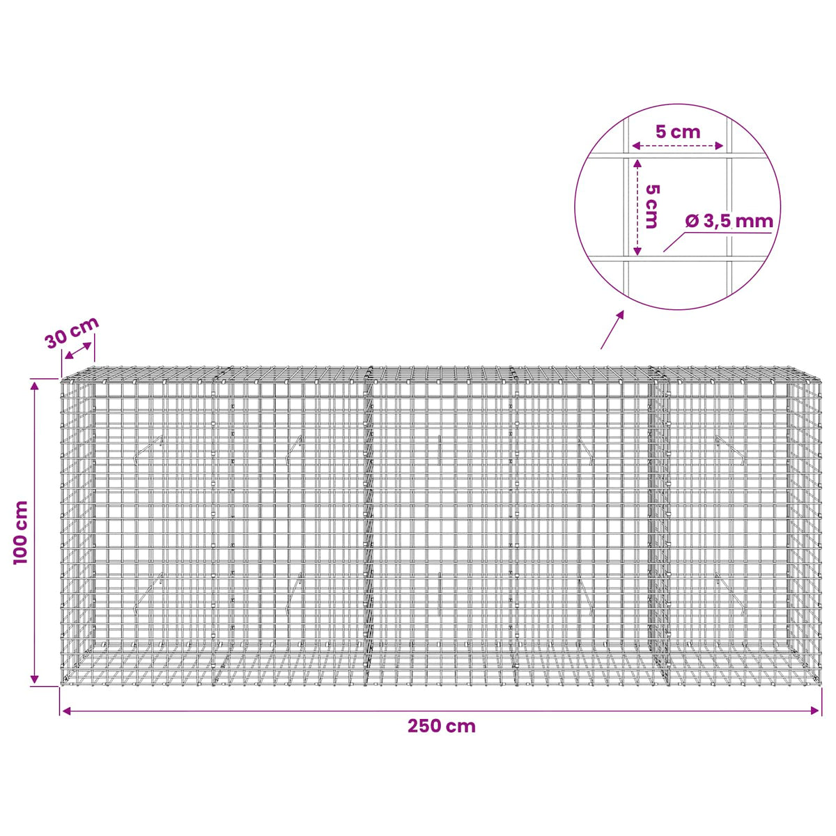 vidaXL Gabion z drutu 3,5 mm i siatką 5x5 cm 250x30x100 cm