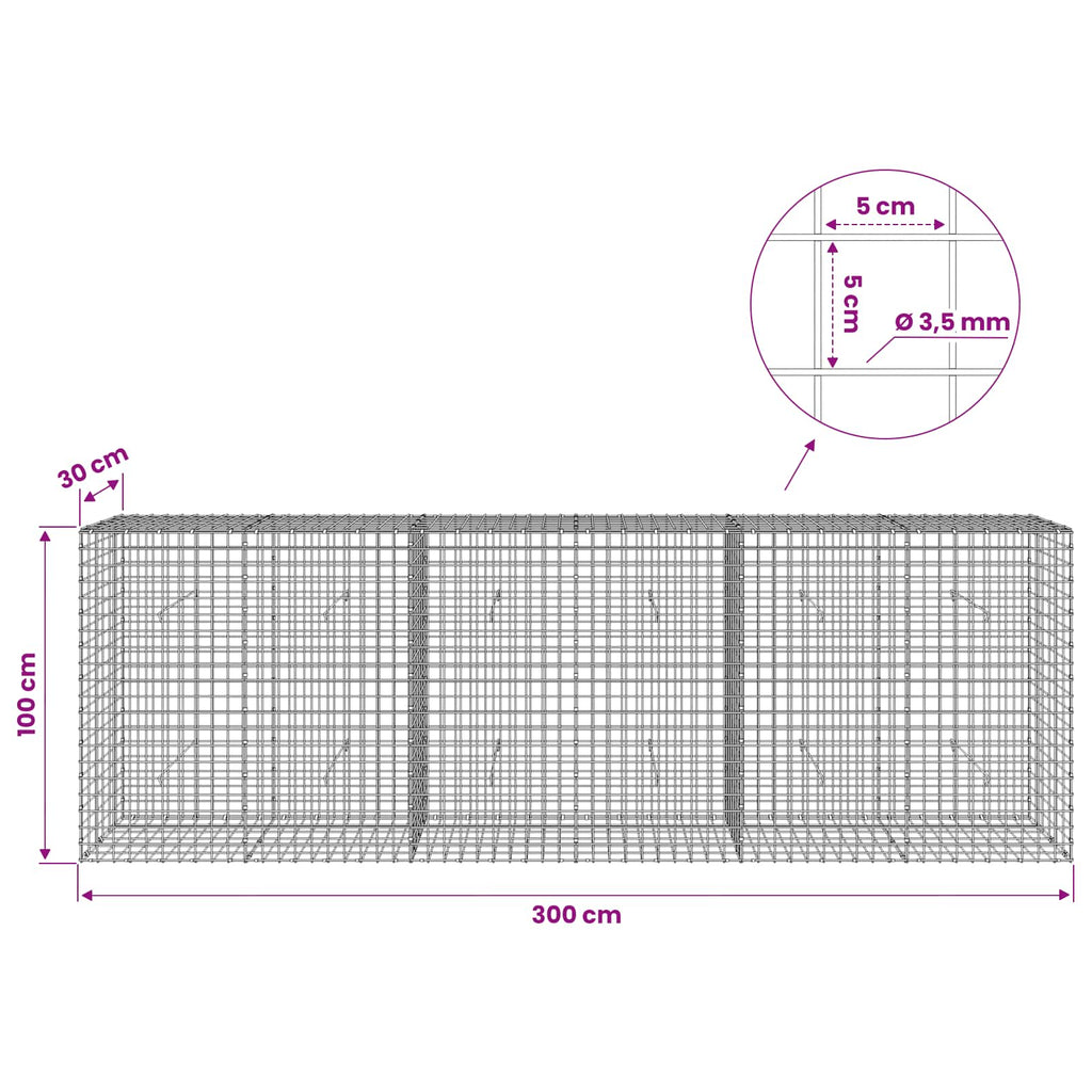 vidaXL Gabion z drutu 3,5 mm i siatką 5x5 cm 300x30x100 cm