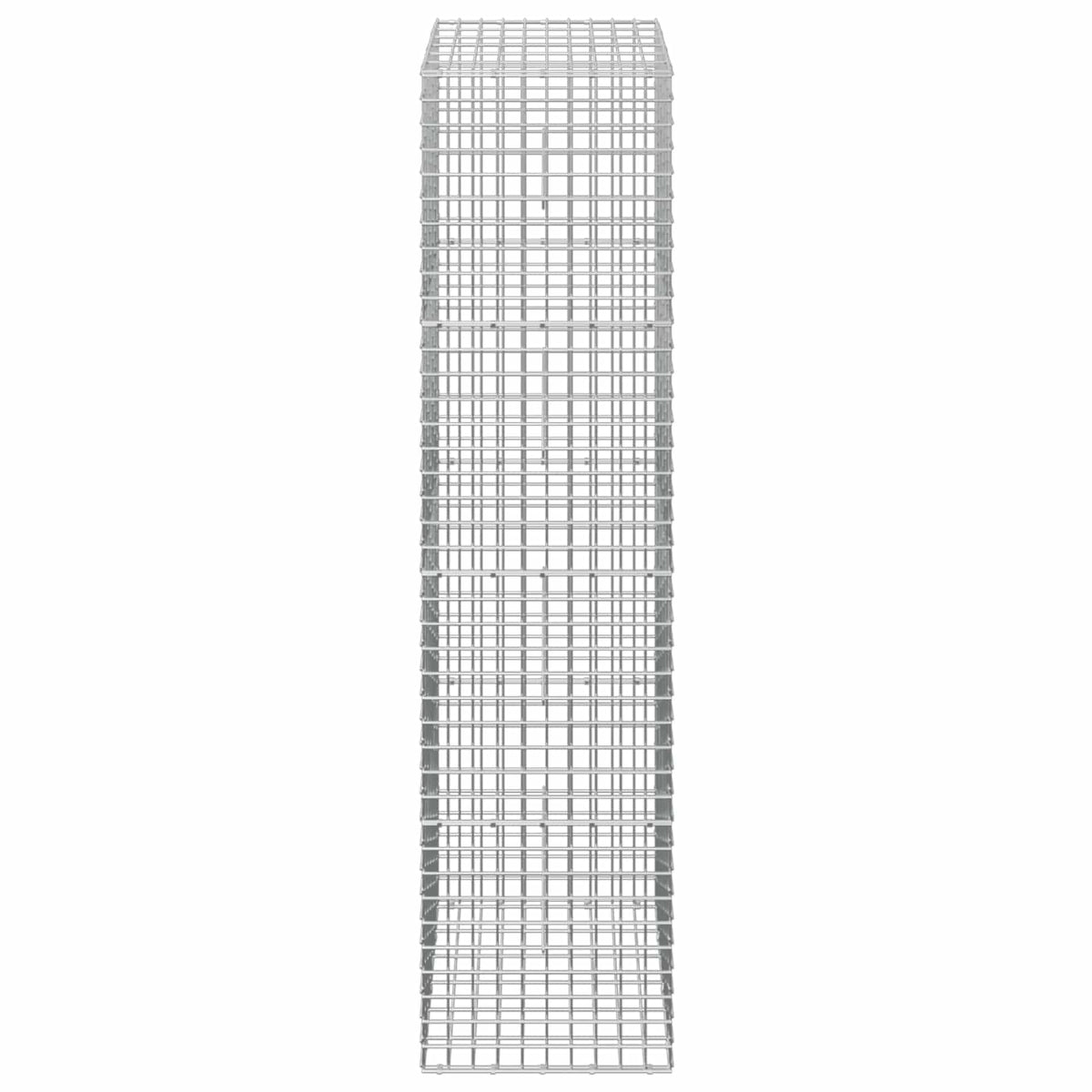 vidaXL Gabion z drutu 3,5 mm i siatką 5x5 cm 50x30x200 cm