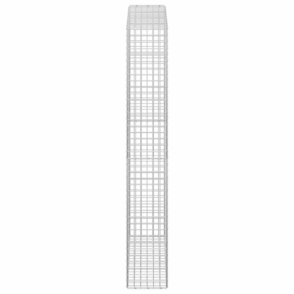 vidaXL Gabion z drutu 3,5 mm i siatką 5x5 cm 100x30x200 cm