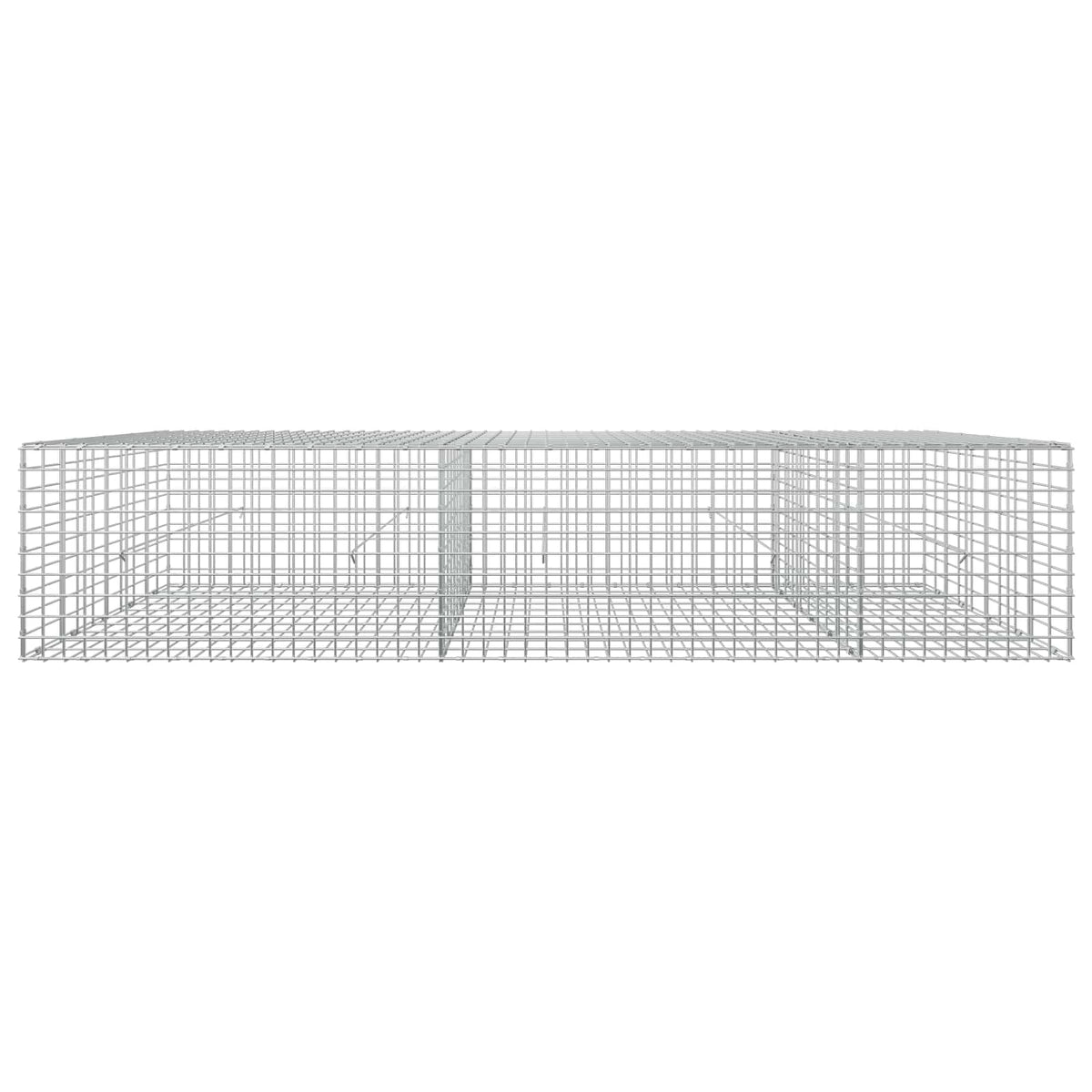 vidaXL Gabion z drutu 3,5 mm i siatką 5x5 cm 250x50x50 cm
