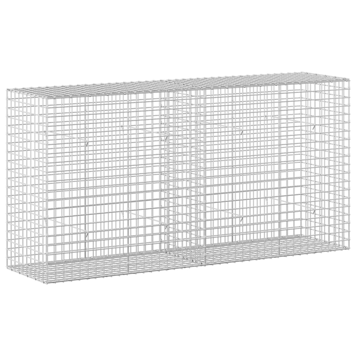 vidaXL Gabion z drutu 3,5 mm i siatką 5x5 cm 200x50x100 cm
