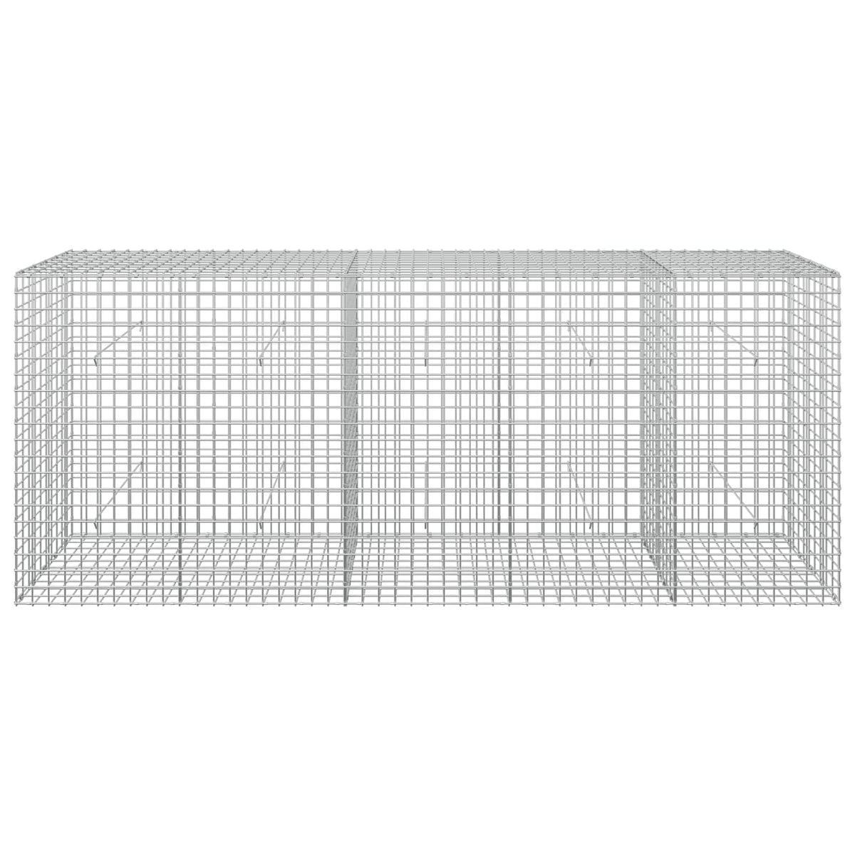 vidaXL Gabion z drutu 3,5 mm i siatką 5x5 cm 250x50x100 cm
