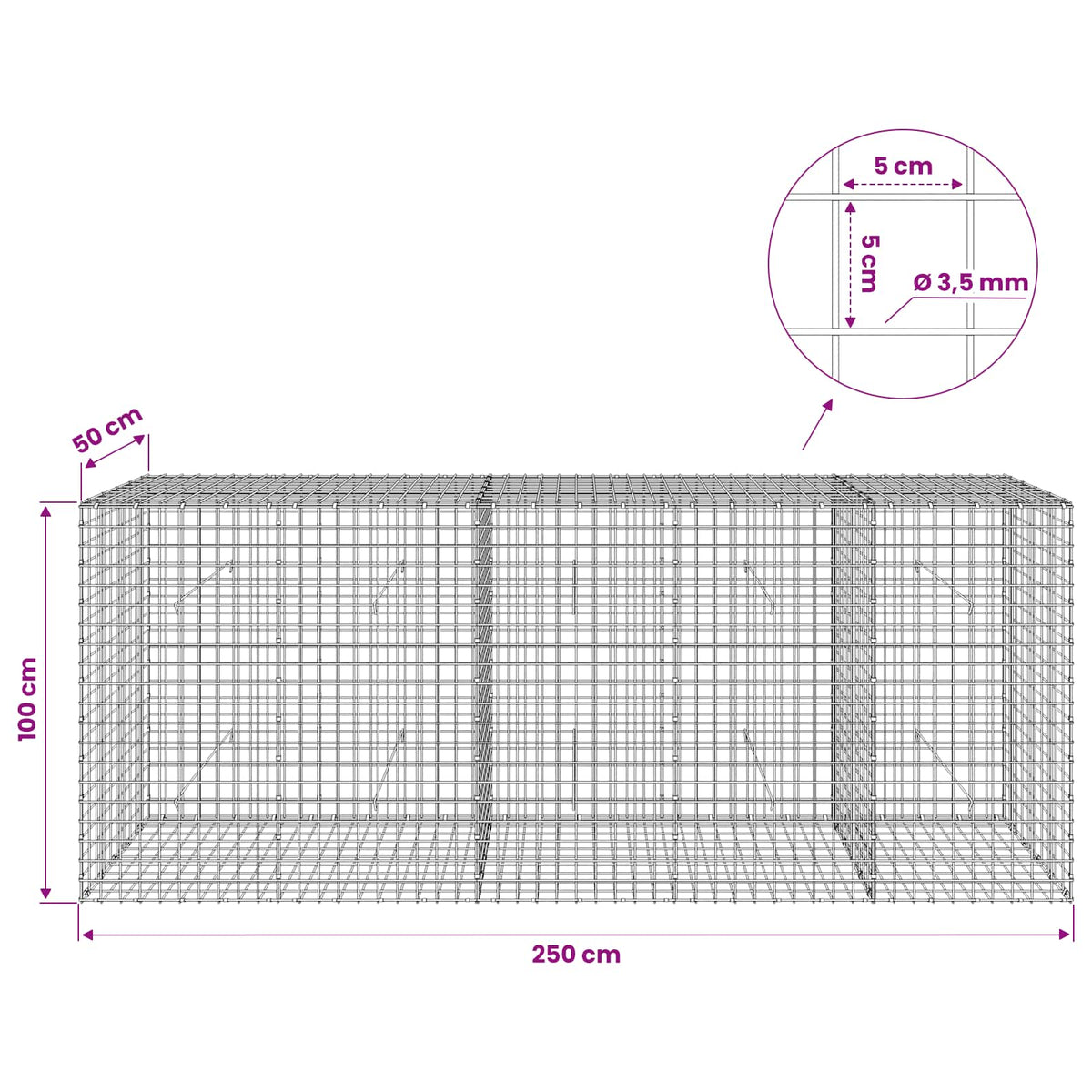 vidaXL Gabion z drutu 3,5 mm i siatką 5x5 cm 250x50x100 cm