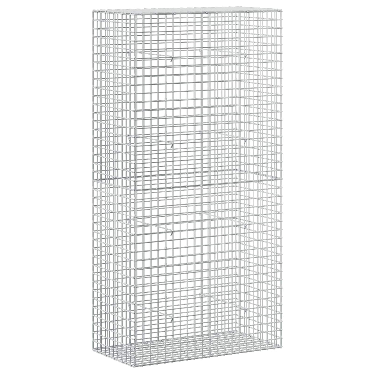 vidaXL Gabion z drutu 3,5 mm i siatką 5x5 cm 100x50x200 cm