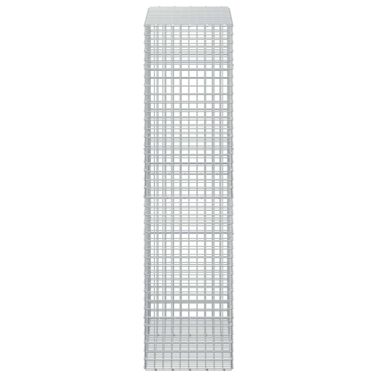 vidaXL Gabion z drutu 3,5 mm i siatką 5x5 cm 150x50x200 cm