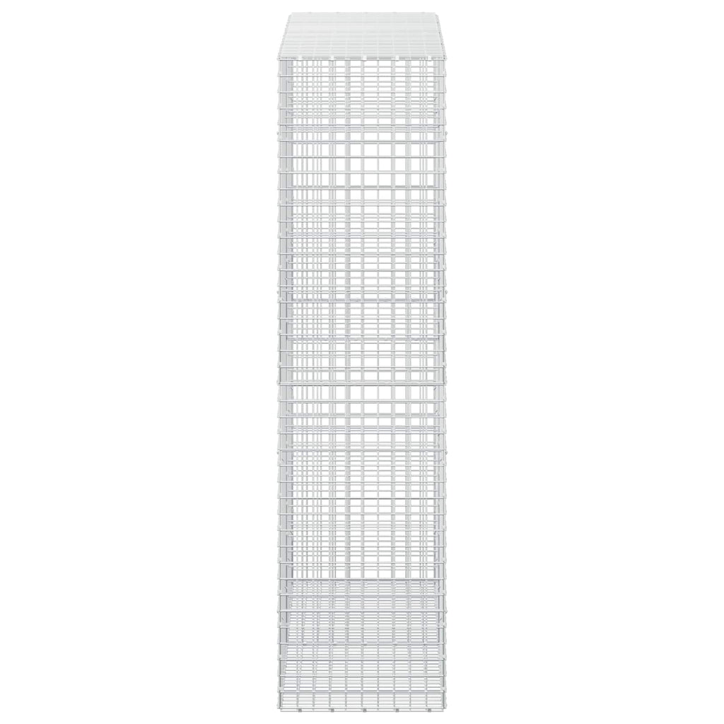 vidaXL Gabion z drutu 3,5 mm i siatką 5x5 cm 200x50x200 cm