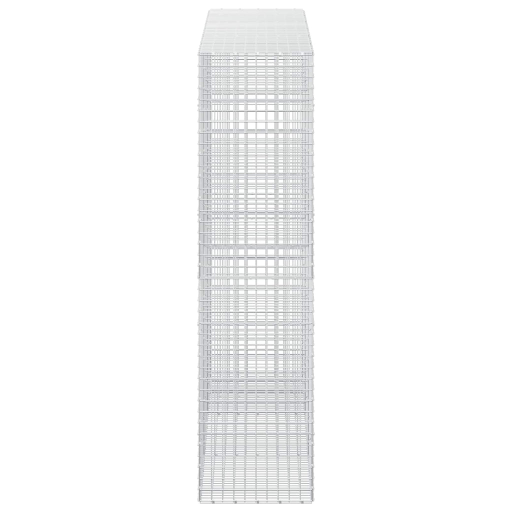 vidaXL Gabion z drutu 3,5 mm i siatką 5x5 cm 300x50x200 cm