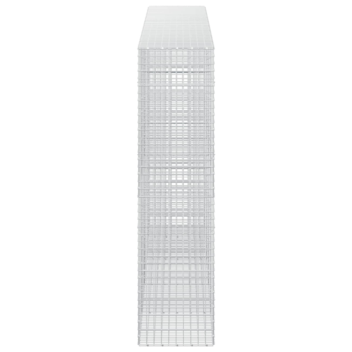 vidaXL Gabion z drutu 3,5 mm i siatką 5x5 cm 450x50x200 cm