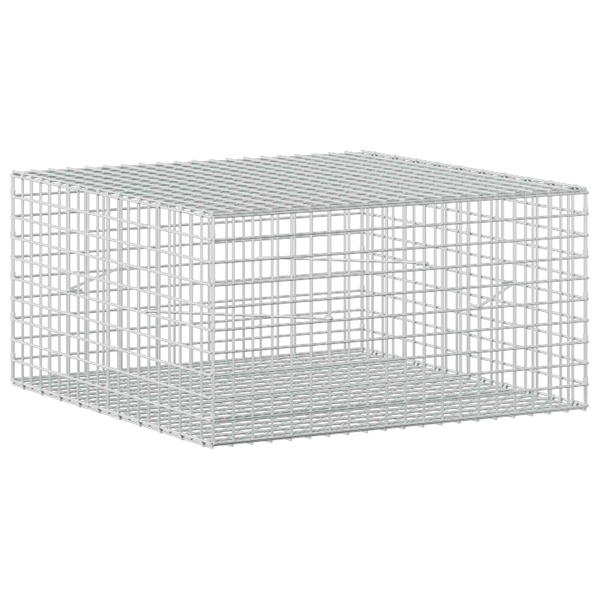 vidaXL Gabion z drutu 3,5 mm i siatką 5x5 cm 100x100x50 cm