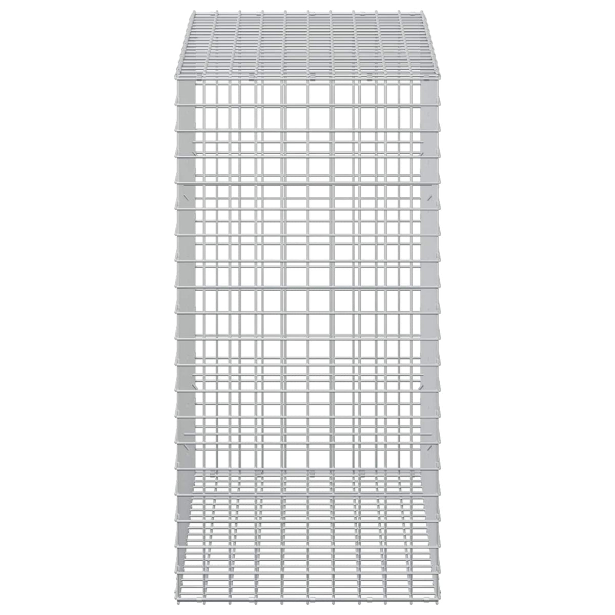 vidaXL Gabion z drutu 3,5 mm i siatką 5x5 cm 50x100x100 cm