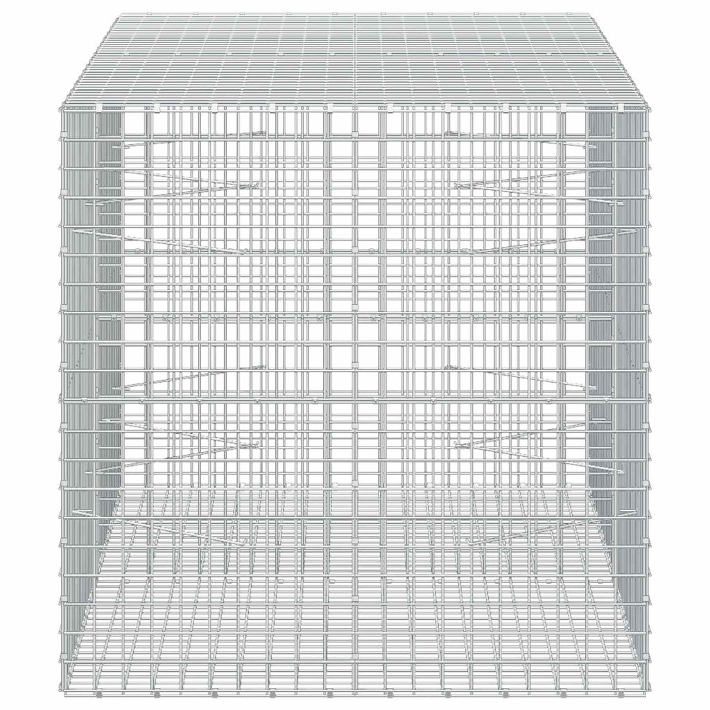 vidaXL Gabion z drutu 3,5 mm i siatką 5x5 cm 200x100x100 cm
