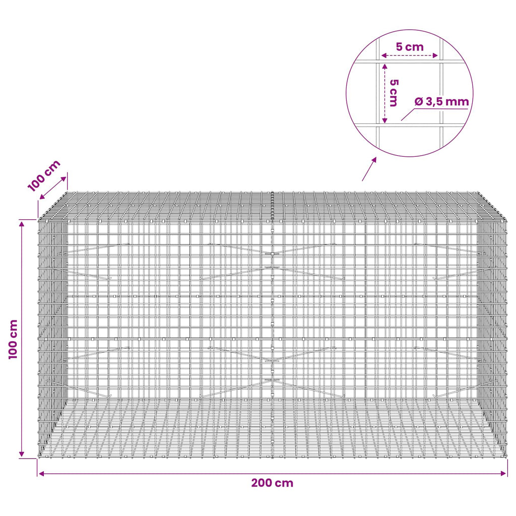 vidaXL Gabion z drutu 3,5 mm i siatką 5x5 cm 200x100x100 cm
