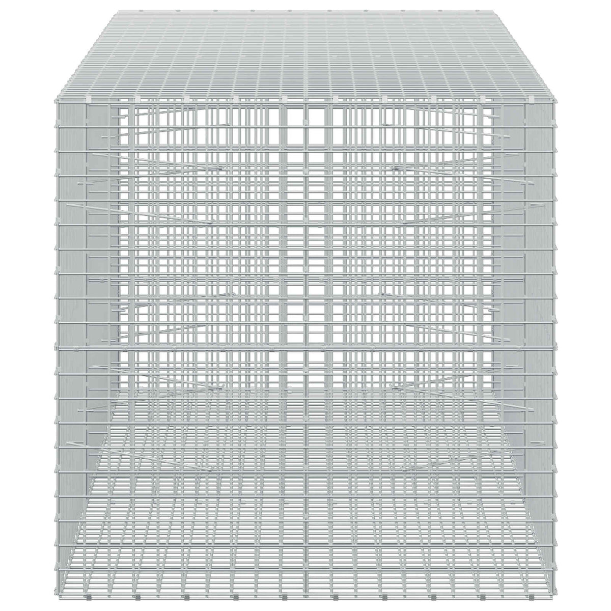 vidaXL Gabion z drutu 3,5 mm i siatką 5x5 cm 250x100x100 cm