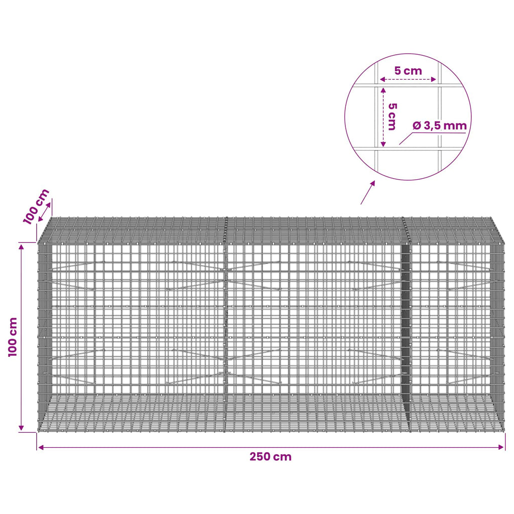 vidaXL Gabion z drutu 3,5 mm i siatką 5x5 cm 250x100x100 cm