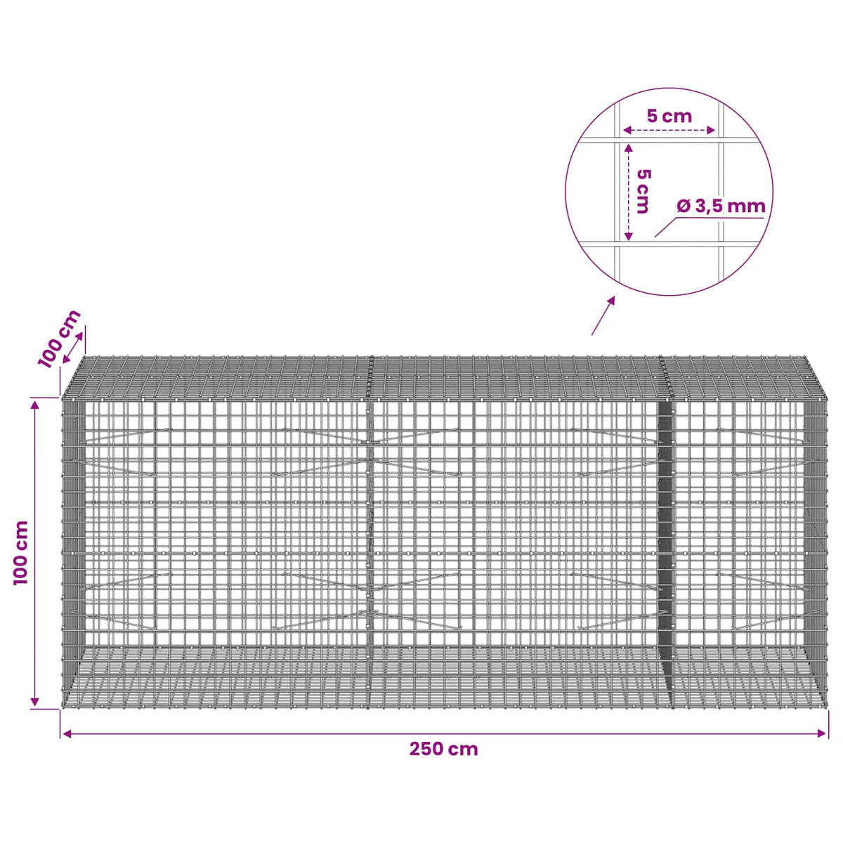 vidaXL Gabion z drutu 3,5 mm i siatką 5x5 cm 250x100x100 cm