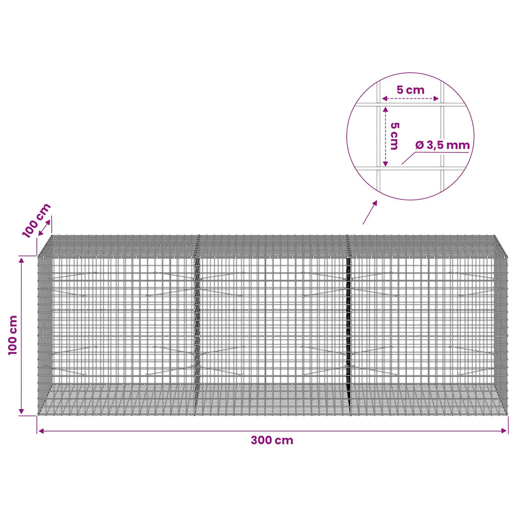 vidaXL Gabion z drutu 3,5 mm i siatką 5x5 cm 300x100x100 cm