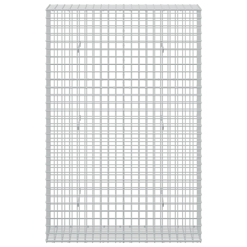 vidaXL Gabion z drutu 3,5 mm i siatką 5x5 cm 50x100x150 cm