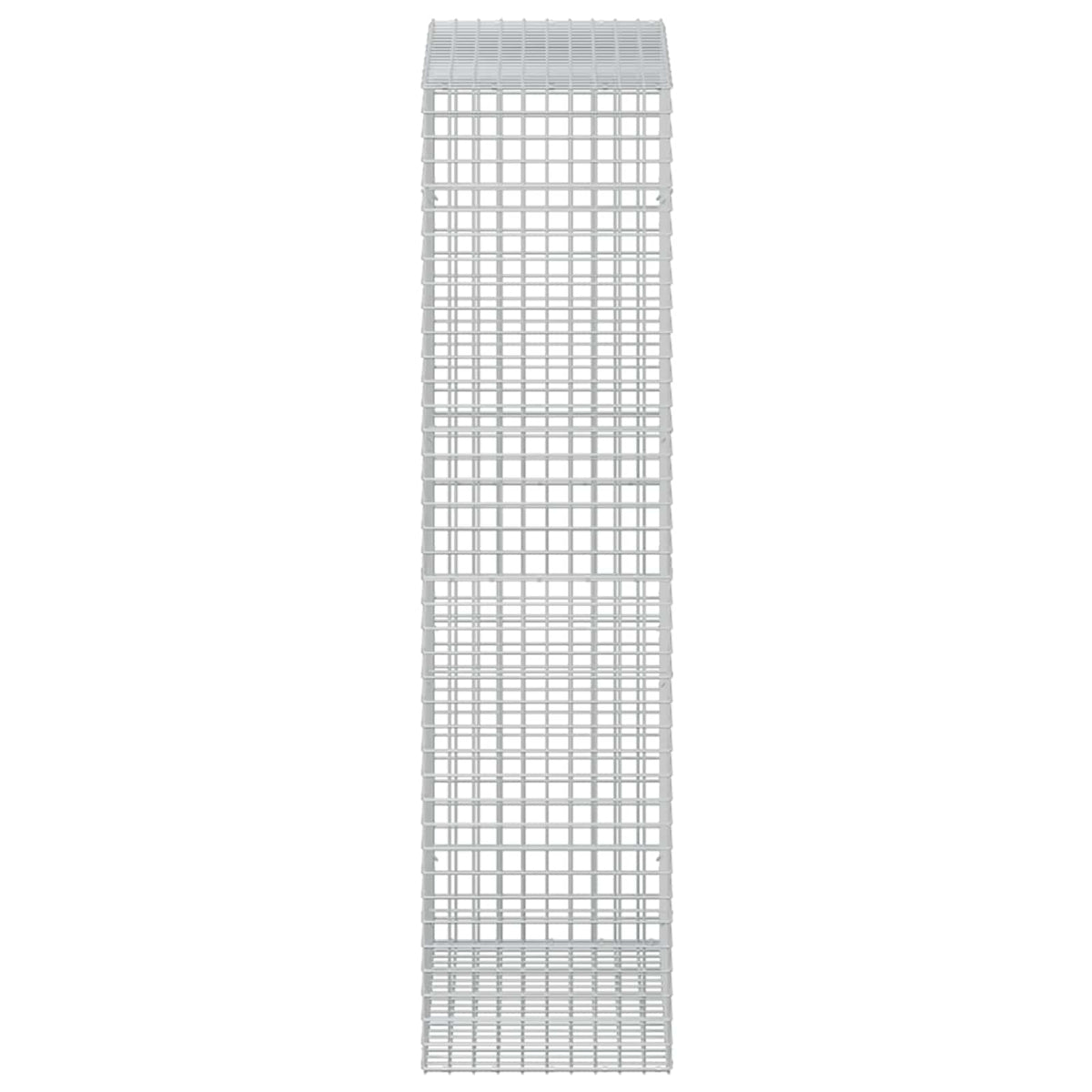 vidaXL Gabion z drutu 3,5 mm i siatką 5x5 cm 50x100x200 cm