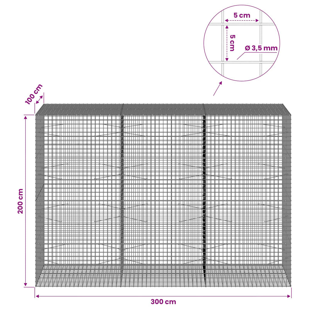 vidaXL Gabion z drutu 3,5 mm i siatką 5x5 cm 300x100x200 cm