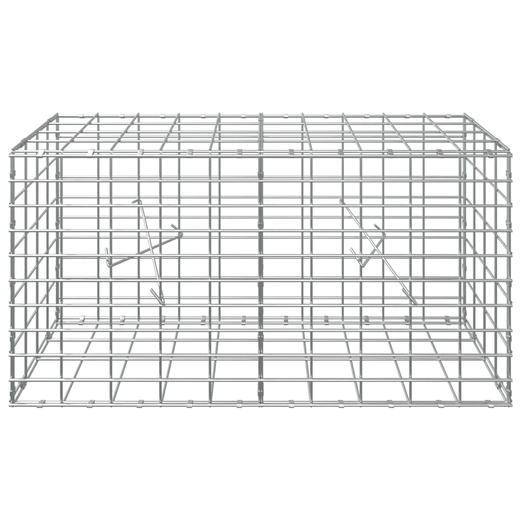 vidaXL Gabion z drutu 3,5 mm i siatką 5x10 cm 100x20x50 cm