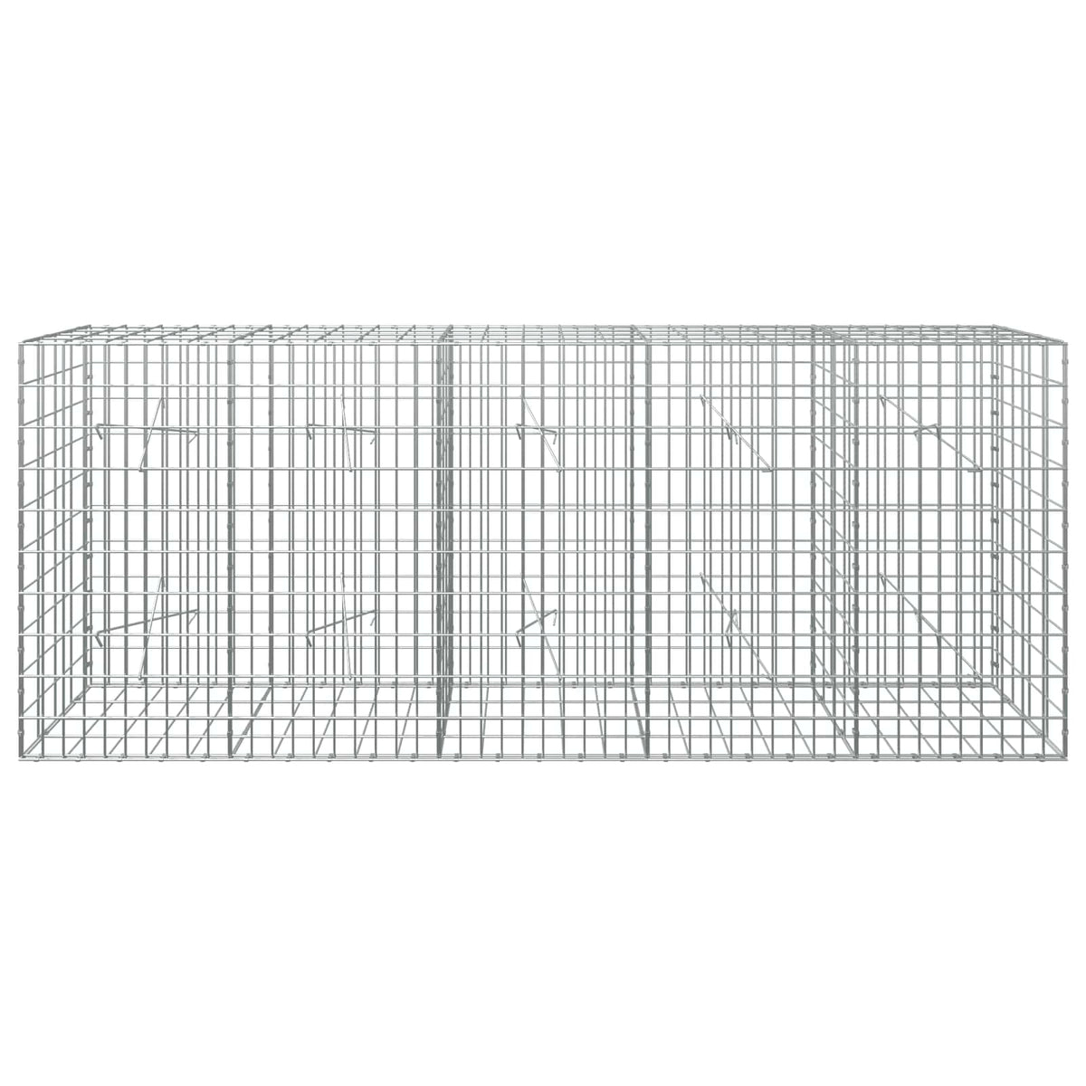 vidaXL Gabion z drutu 3,5 mm i siatką 5x10 cm 250x20x100 cm