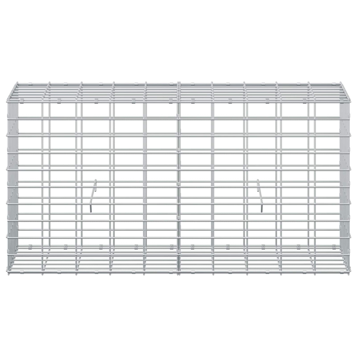 vidaXL Gabion z drutu 3,5 mm i siatką 5x10 cm 100x30x50 cm