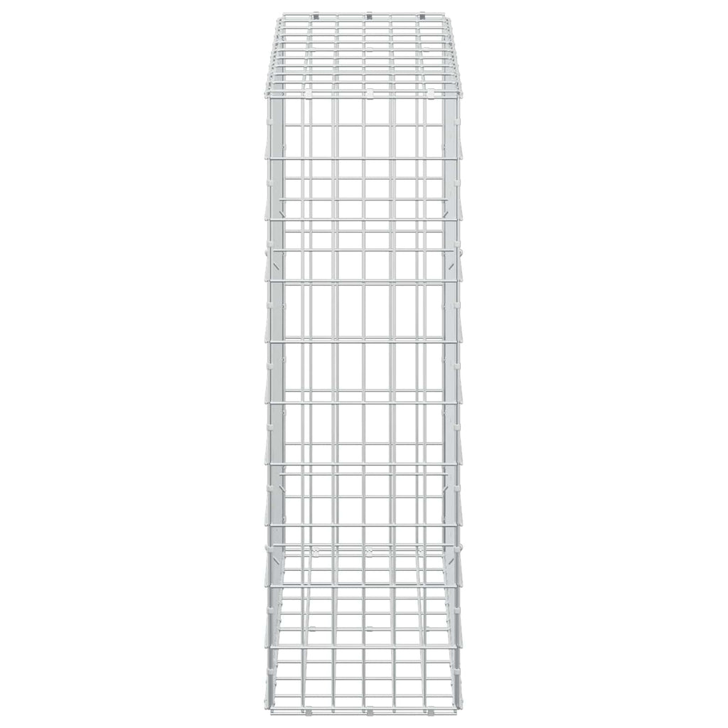 vidaXL Gabion z drutu 3,5 mm i siatką 5x10 cm 100x30x100 cm
