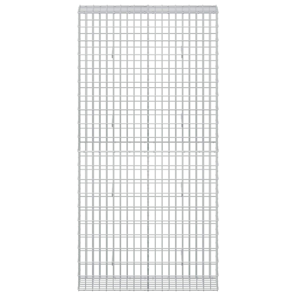 vidaXL Gabion z drutu 3,5 mm i siatką 5x10 cm 100x30x200 cm