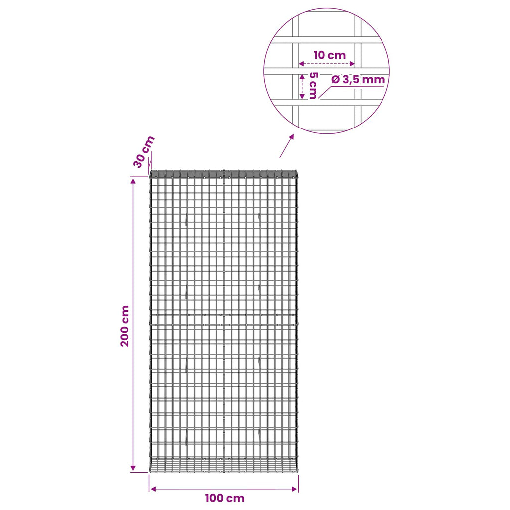 vidaXL Gabion z drutu 3,5 mm i siatką 5x10 cm 100x30x200 cm