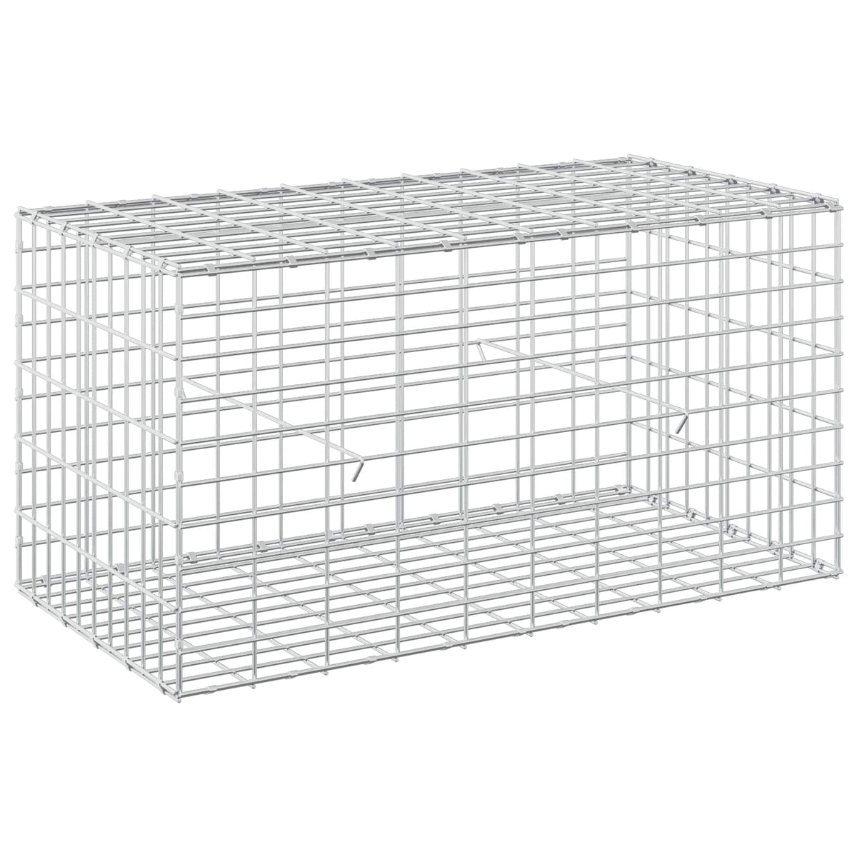 vidaXL Gabion z drutu 3,5 mm i siatką 5x10 cm 100x50x50 cm