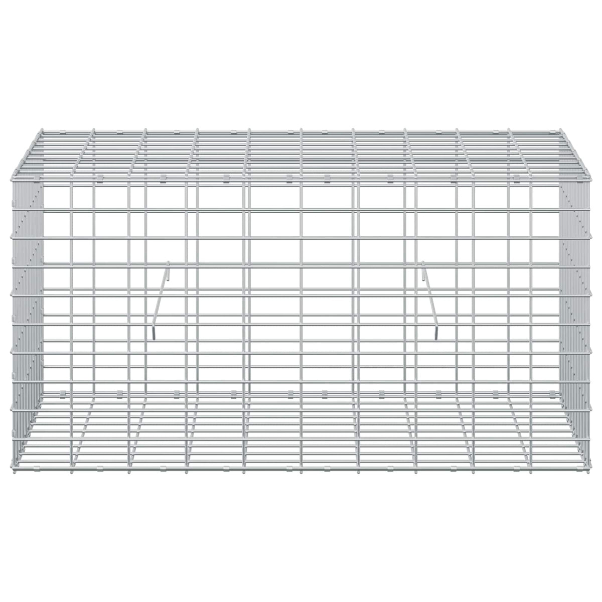 vidaXL Gabion z drutu 3,5 mm i siatką 5x10 cm 100x50x50 cm