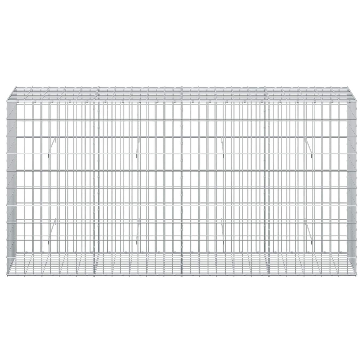 vidaXL Gabion z drutu 3,5 mm i siatką 5x10 cm 200x50x100 cm