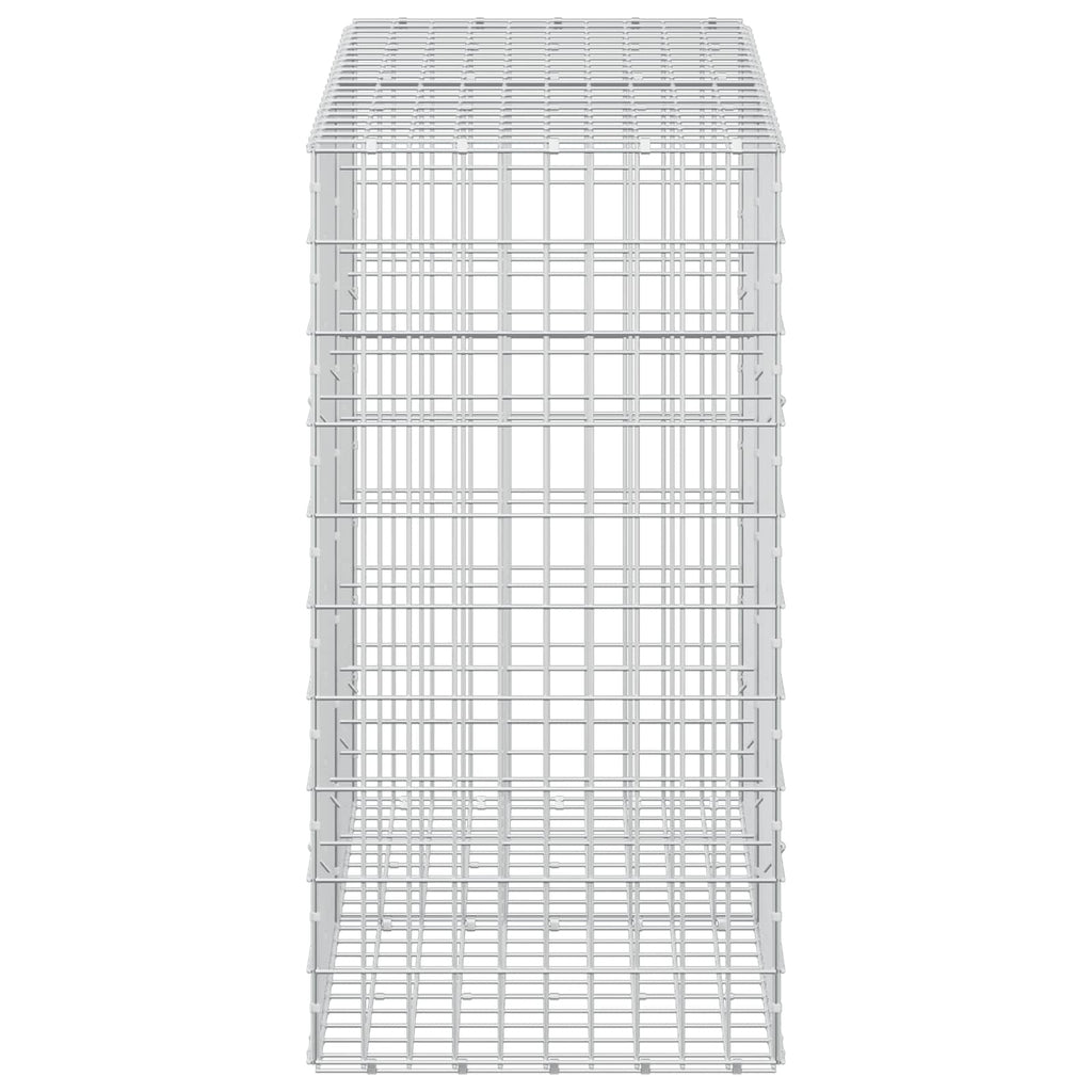 vidaXL Gabion z drutu 3,5 mm i siatką 5x10 cm 200x50x100 cm