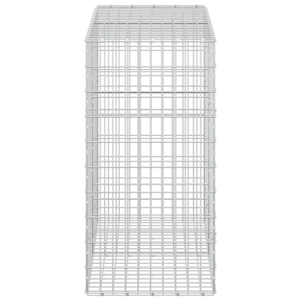 vidaXL Gabion z drutu 3,5 mm i siatką 5x10 cm 200x50x100 cm