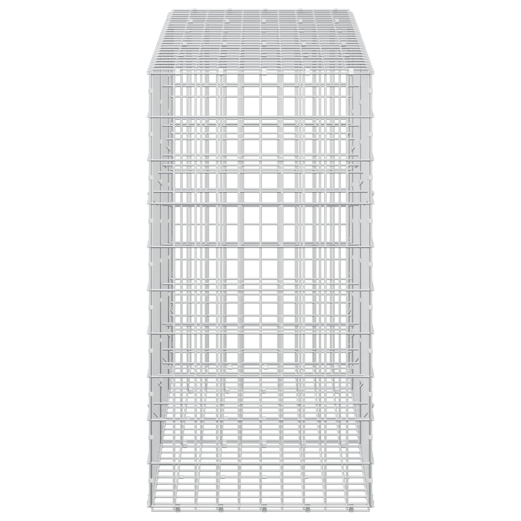 vidaXL Gabion z drutu 3,5 mm i siatką 5x10 cm 250x50x100 cm