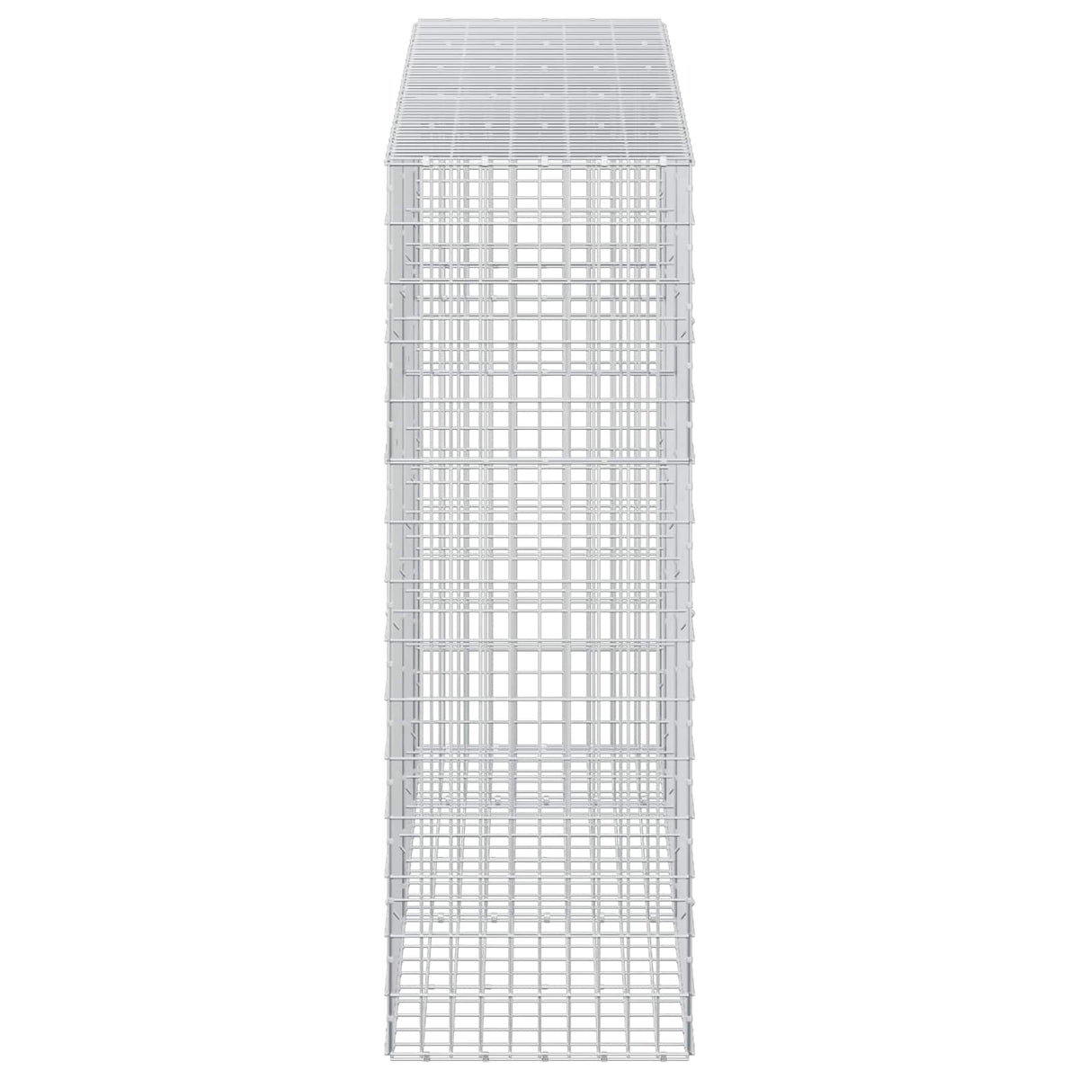 vidaXL Gabion z drutu 3,5 mm i siatką 5x10 cm 250x50x150 cm