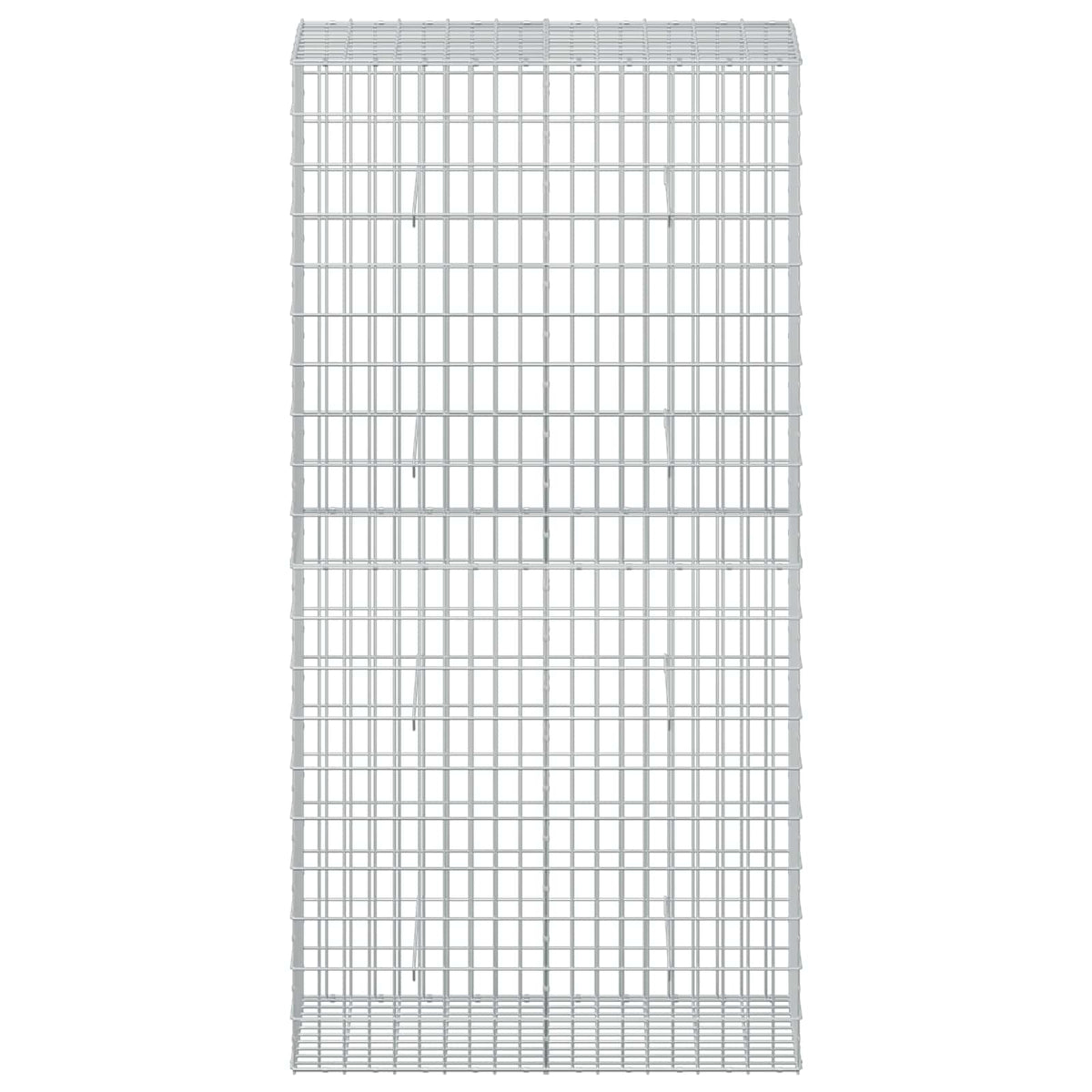 vidaXL Gabion z drutu 3,5 mm i siatką 5x10 cm 100x50x200 cm