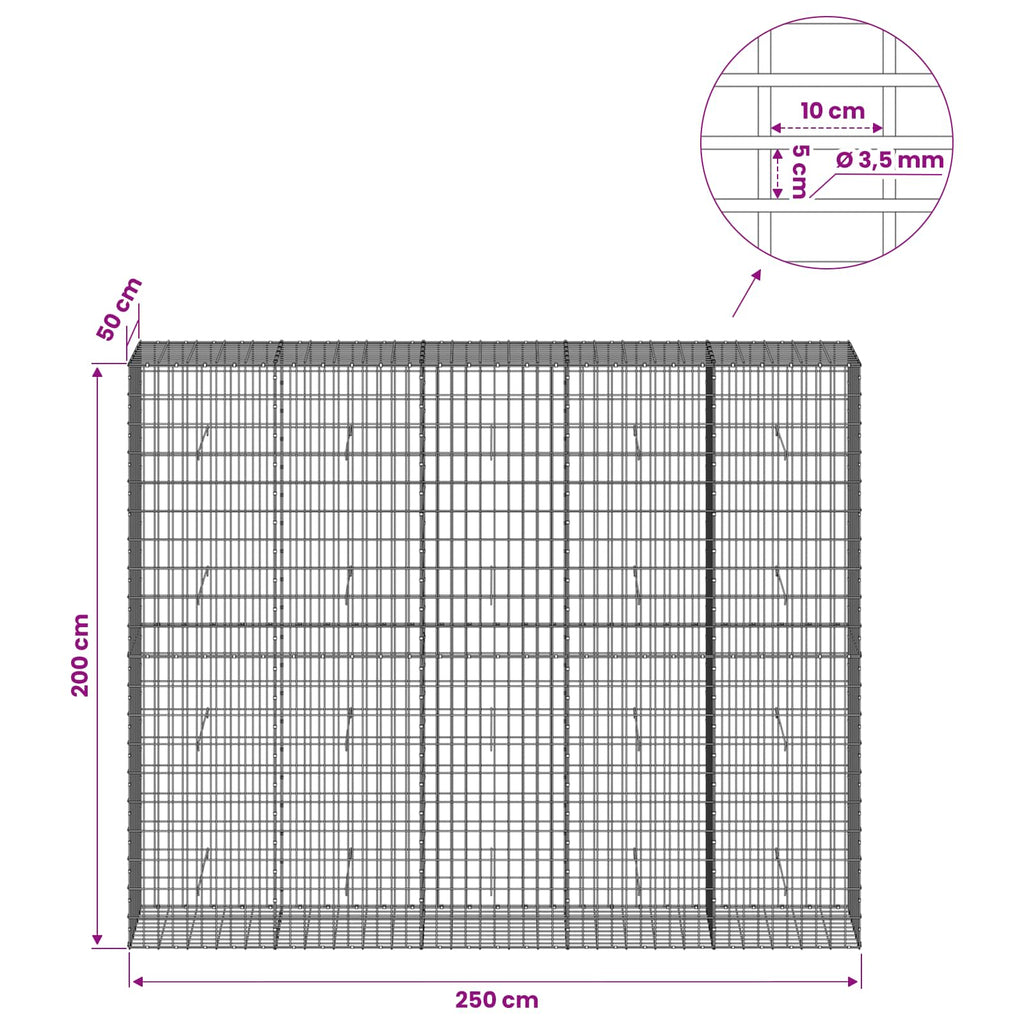 vidaXL Gabion z drutu 3,5 mm i siatką 5x10 cm 250x50x200 cm