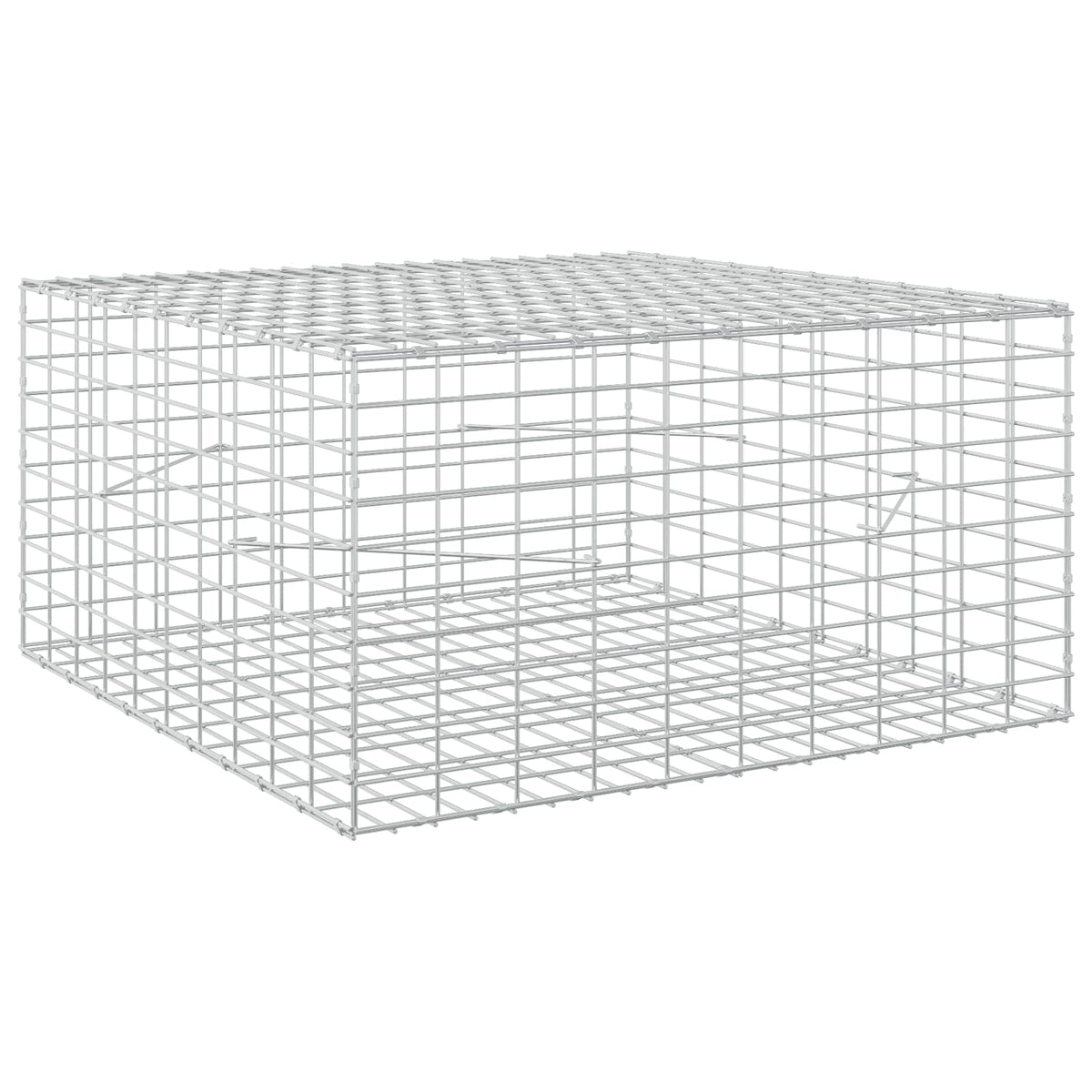 vidaXL Gabion z drutu 3,5 mm i siatką 5x10 cm 100x100x50 cm