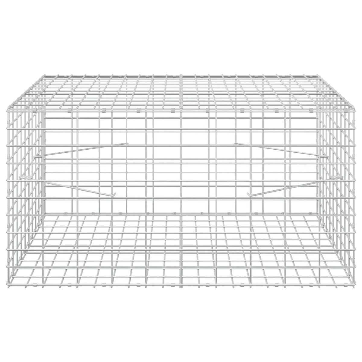 vidaXL Gabion z drutu 3,5 mm i siatką 5x10 cm 100x100x50 cm