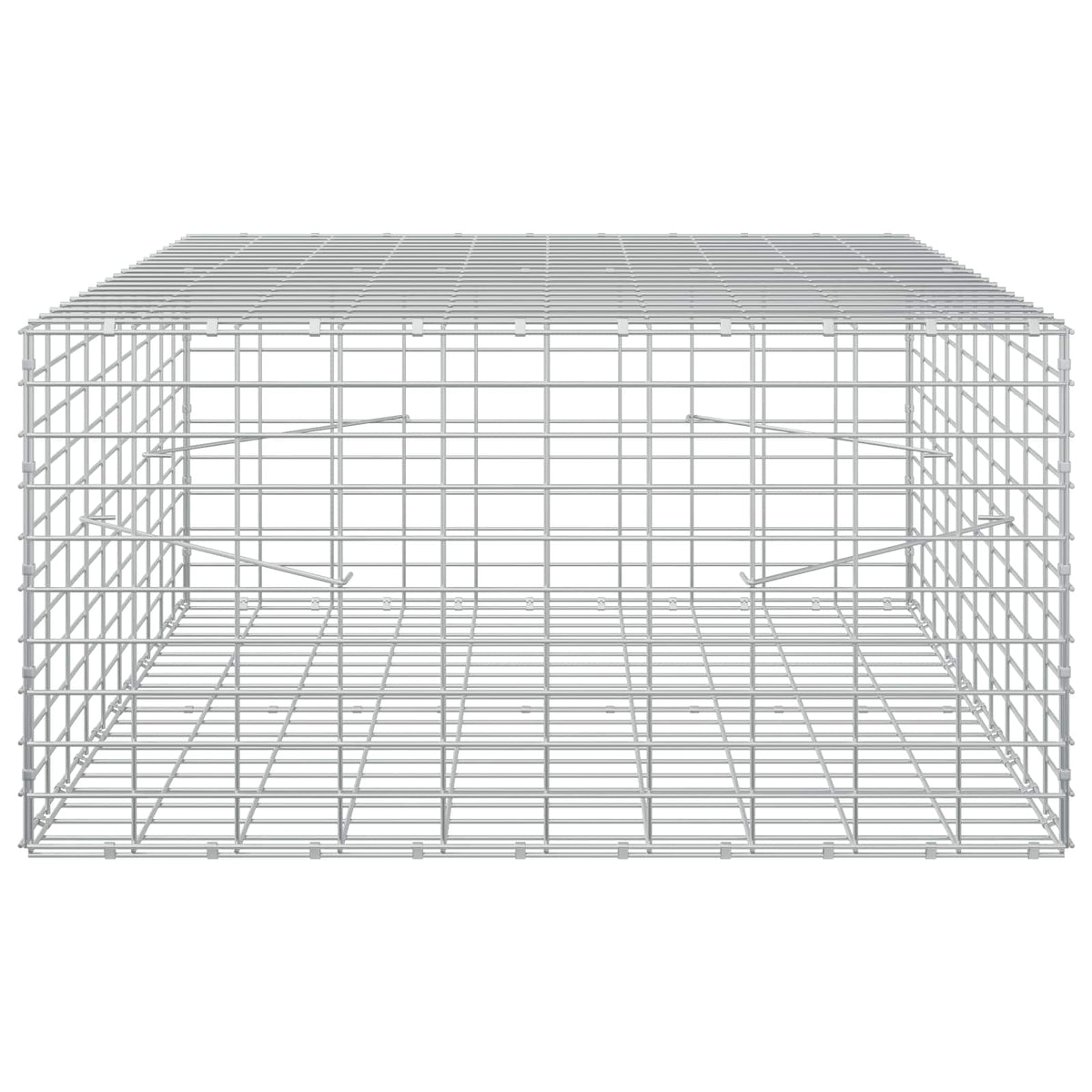 vidaXL Gabion z drutu 3,5 mm i siatką 5x10 cm 100x100x50 cm