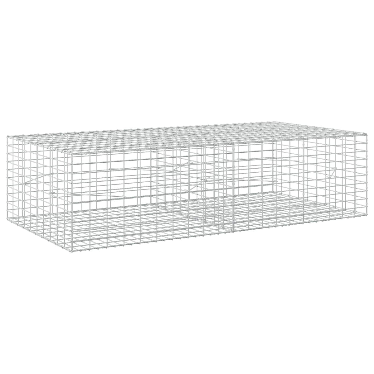 vidaXL Gabion z drutu 3,5 mm i siatką 5x10 cm 200x100x50 cm