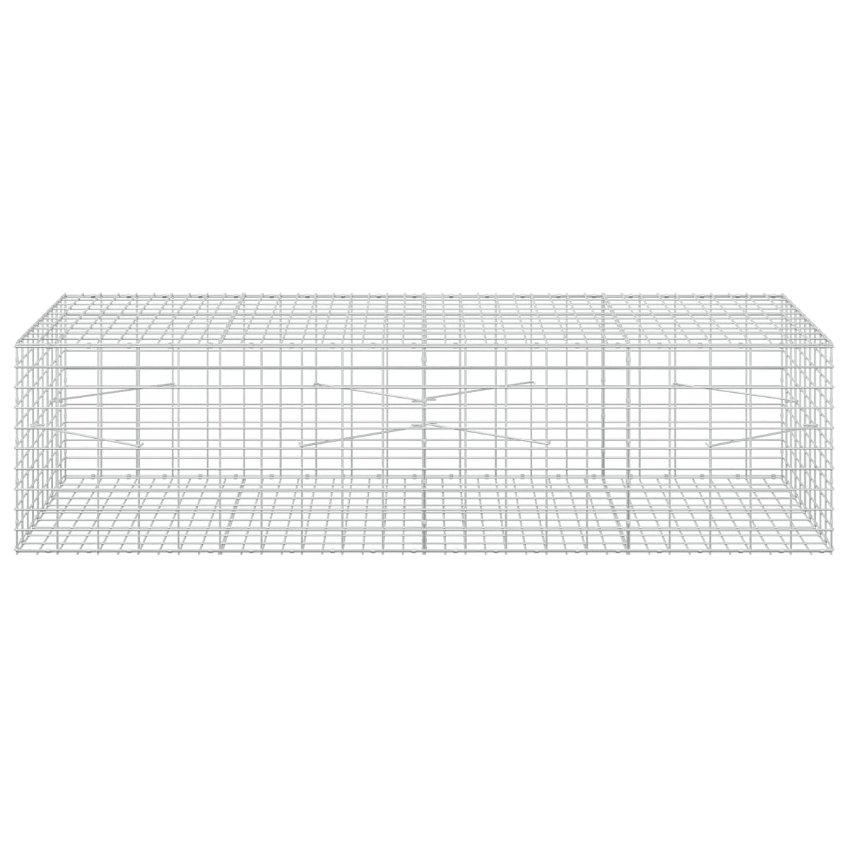 vidaXL Gabion z drutu 3,5 mm i siatką 5x10 cm 200x100x50 cm