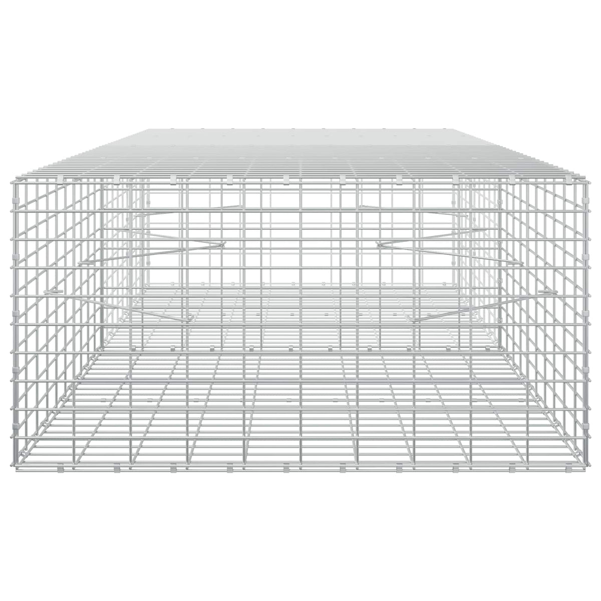 vidaXL Gabion z drutu 3,5 mm i siatką 5x10 cm 200x100x50 cm